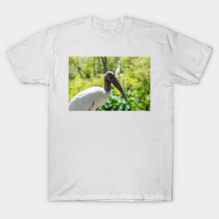 Wood stork   wildlife preserve 2 T-Shirt